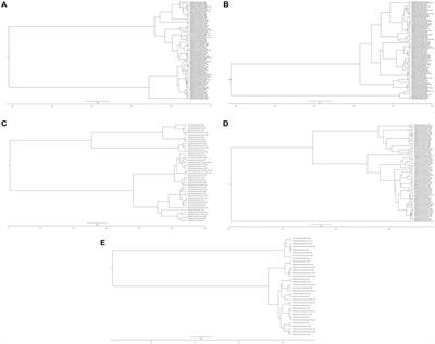 Global review of the H5N8 avian influenza virus subtype